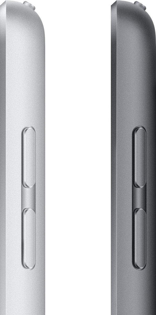 Apple iPad (2021 9e generatie) - 10,2 inch - WiFi - 256GB - Spacegrijs